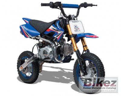 2011 Tauris Matador 125 photo
